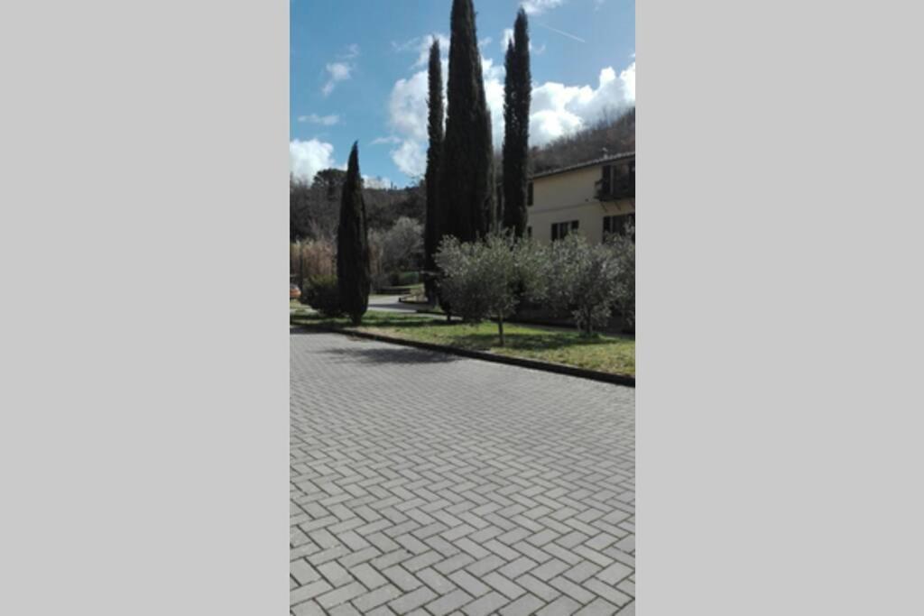 Casazappa - In Centro A Piedi, Parcheggio E Giardino Privato Apartment เซียนา ภายนอก รูปภาพ